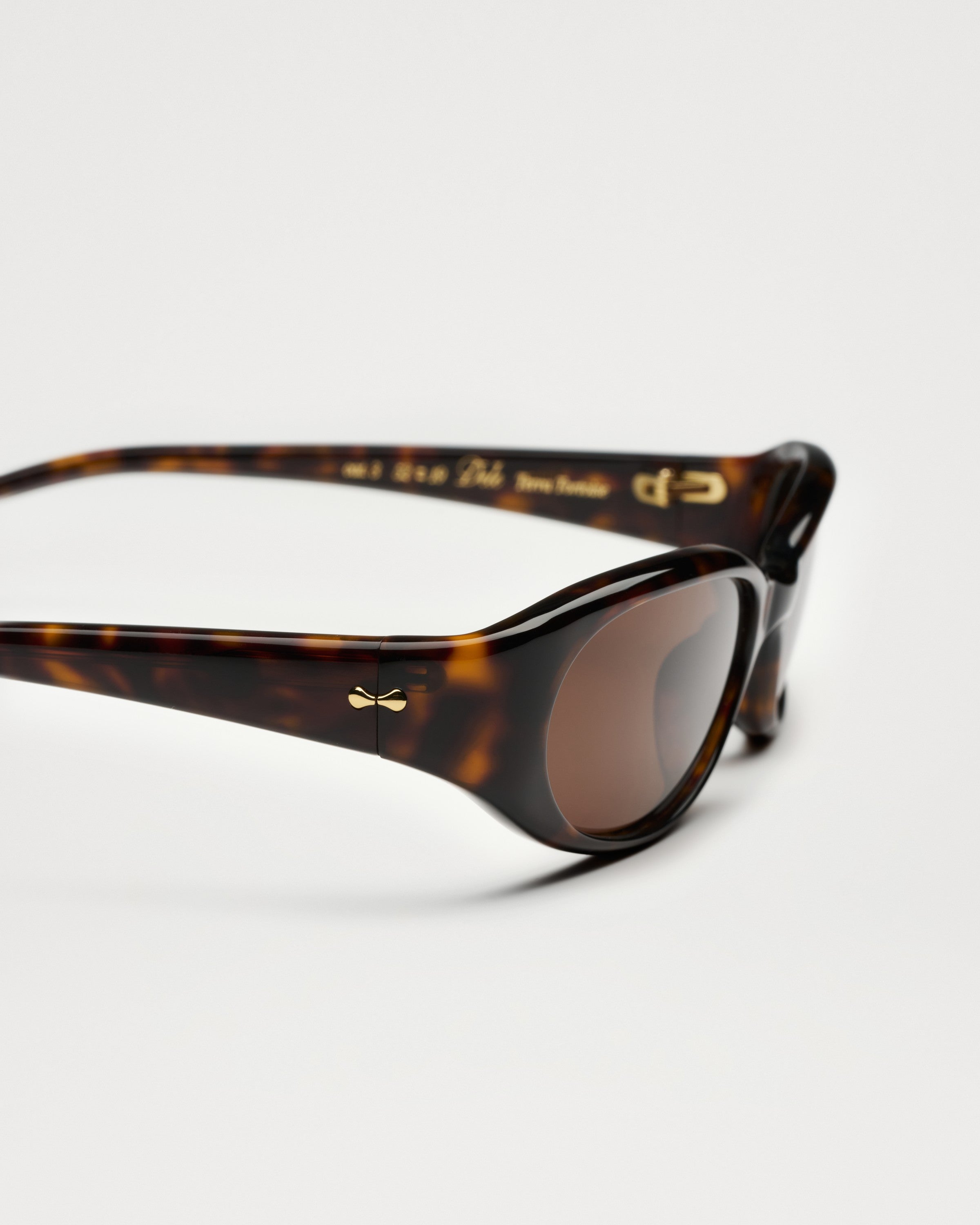 Chimi – Dele – Sunglasses – Terra Tortoise